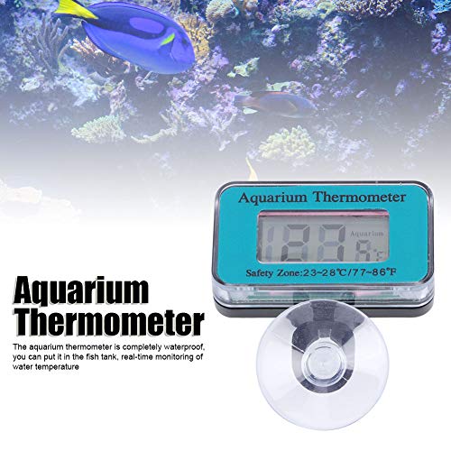 Aquário Termômetro LCD Termômetro de aquário digital com copo de sucção Terrarium Terrarium Water Temperation Test Teste
