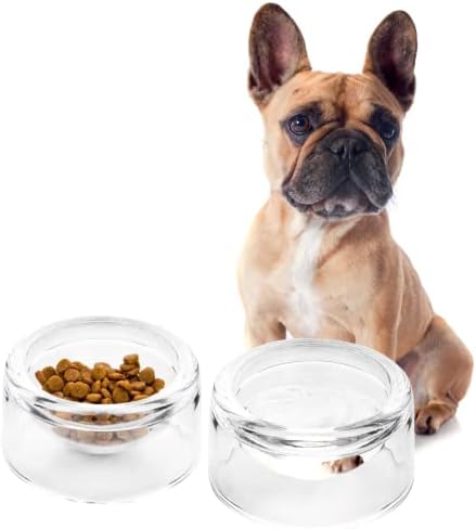 Alfi+Mag, tigela de cachorro de vidro pequeno para cães pequenos e gatos - perfeita para água, comida de cachorro molhada