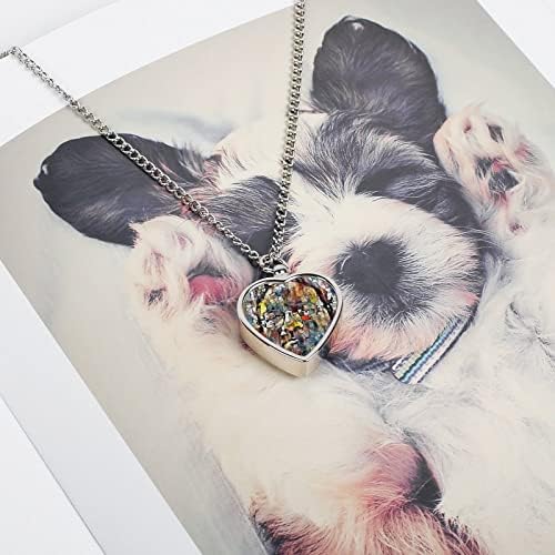 Retrato de homem com óculos Cinzas de cachorro urna colar gato cremação jóias memorial de lembrança presente de cinzas para amante de animais de estimação