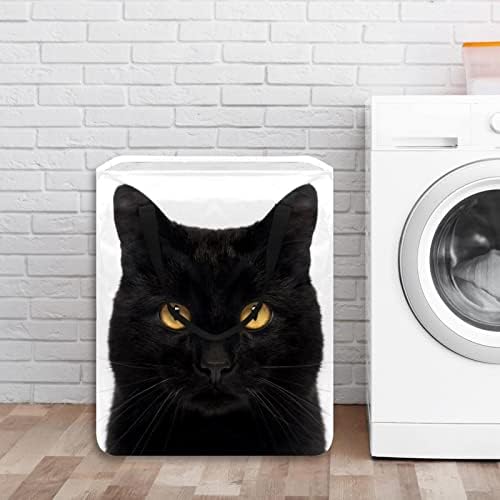 Cesto de lavanderia dobrável com estampa preta de gato, cestas de lavanderia de 60l de lavanderia de roupas de lavagem de roupas de roupas de roupas para dormitórios para o quarto do banheiro quarto