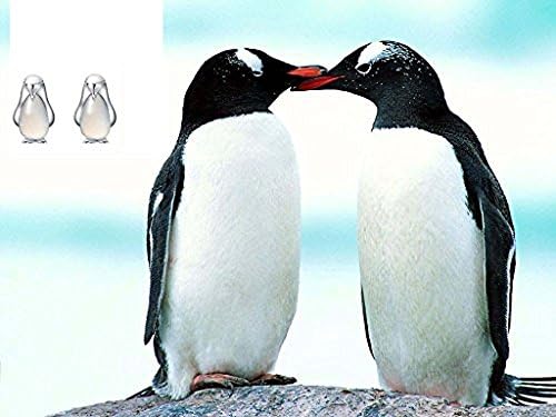 Encontrar brinco de pinguim para mulheres 925 Sterling Silver Opal Penguin Brincho