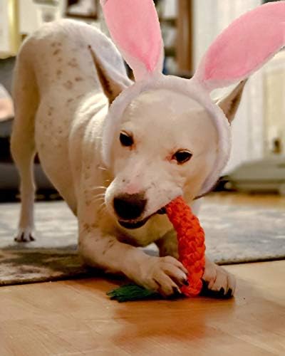 Coelhinho de cachorro Ears e kit de brinquedos de cachorrinho de Páscoa, fantasia de Páscoa de Doggie