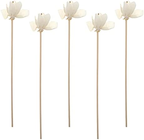 Doitool 5pcs aromaterapia rattan difusor bastão de orquídea natural Cabeça de flor essencial aroma de aroma de aroma bastão