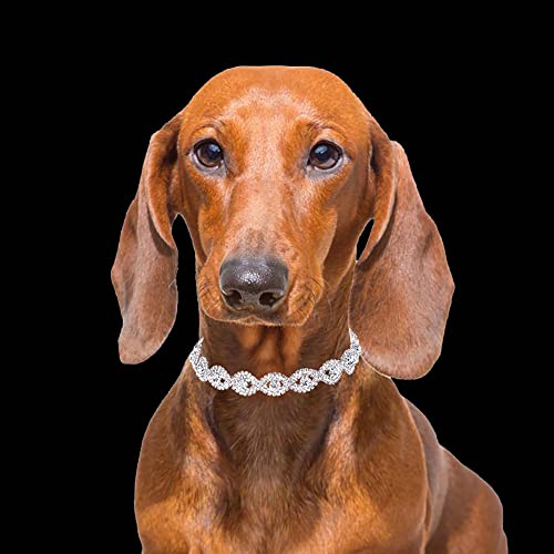 Luckwelry Bling Rhinestones colarinhos de animais de estimação colarinhos de cachorro Glitter Glitter Crystal Gato Elastic