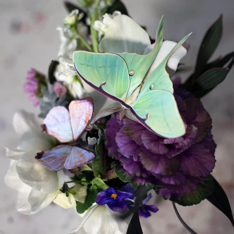 Fitas de 3 peças, papel realista Luna Moth, dupla face, recutas artesanais de papel de borboleta falsa, 'primavera' 'Luna Modys and Morpho Butterflies