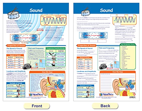 NEWPath Learning Light & Sound Bulletin Board Charts, Set/2-Laminado, duplo-lados, colorido, 12 x 18