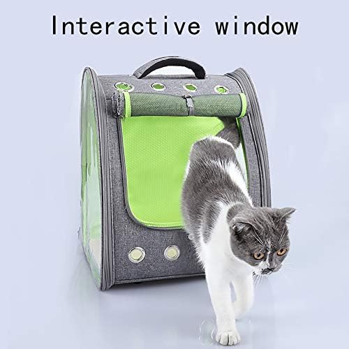 Zhying Transparent Cat Travel transportador Mochila, bolsa de estimação dobrável, ventilada, portátil para viagens para caminhadas