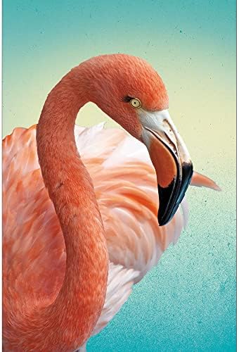 Saudações sem árvores Econotas 12 contagem deco flamingo Todas