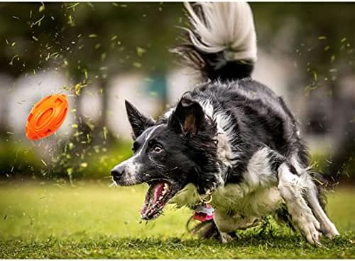 Brinquedos de cães ridículos do norte para mastigadores agressivos, bola de mastigação de borracha com squeaker, brinquedos