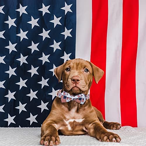 Agradecimentos American Flag American Flag Dog Collar, Impresso Cute Pattern Independence Dia