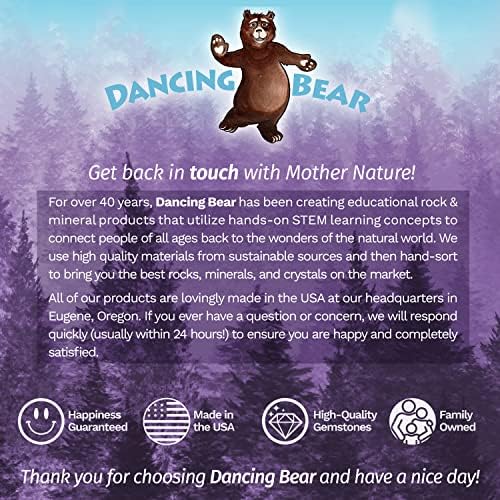 Dançando Bear Authentic Meteorito Pingente Colar, caixa de baú de tesouros, rocha espacial real, cartão educacional e certificado