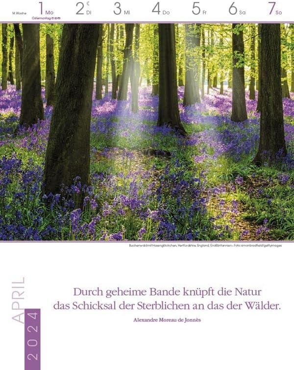 Literaturkalender magische wälder 2024