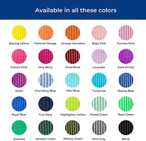 Blueberry Pet Essentials 21 Colors Classic Dog Collar, Turquoise, Small, pescoço 12 -16, colares de nylon para cães