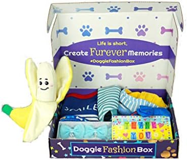The Doggie Fashion Box - brinquedos de cachorro com curadoria com curadoria, camisa da moda, bandana para cachorros e um conjunto