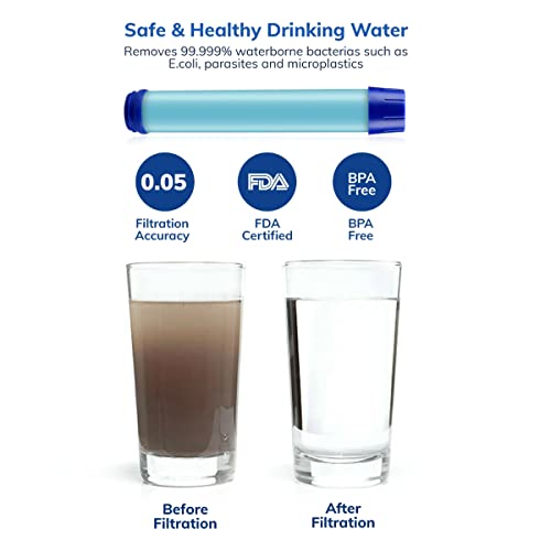 Sobrevivência de preparação - garrafa de filtro de água e dois filtros de substituição, roxo