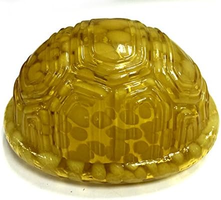 Luminária de tartaruga/lâmpada de tartaruga premium noshy, pacote de 1