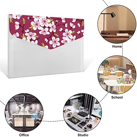 Pastas de arquivo colorido de plástica de cor de cerejeira sakura com 6 acordeão de compartimento Organizador de documentos plásticos de grande capacidade
