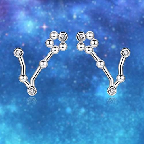 Brincos de constelação do zodíaco 925 Sterling Silver CZ Horóscopo Brincos para mulheres -Viki Lynn