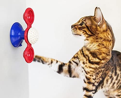 Brinquedos de gatos Lejgeqr para gatos internos, brinquedo de gato interativo com brinquedos de gatinho de gatinho