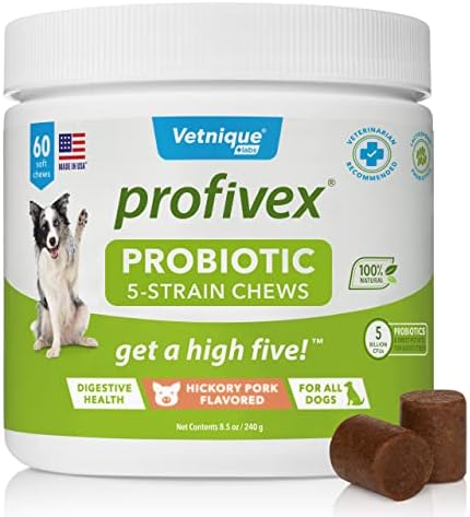 Vetnique ActiveBliss Hip & Joint Supplement for Dogs & Propriex de 5 filmes Probióticos Mades macios para pacote de cães