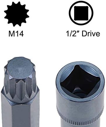 UXCELL 1/2 Drive x M12 Soquete de bit triplo quadrado, bits de aço S2, soquetes CR-V 8 Comprimento