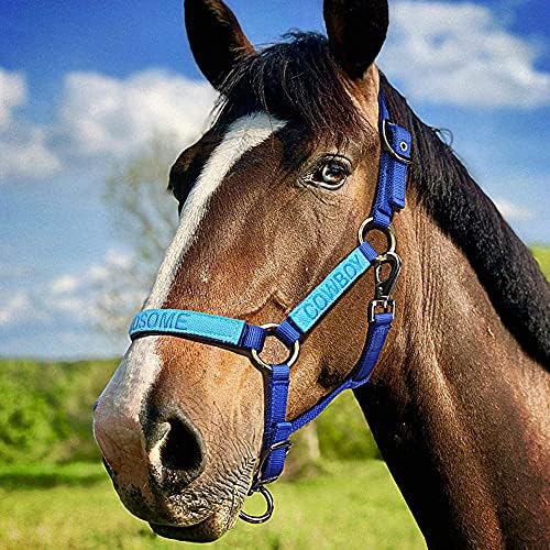 Halter de cavalo personalizado com cabelos de nylon para cavalos de cavalos bordados personalizados
