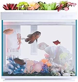 XJJZs Geometria Ai Modularidade Inteligente Tanque de peixes Aquaponics Ecossistema Jardim ecológico Tanque de peixes Aquário transparente
