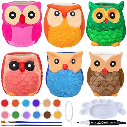 6 sets DIY OWL CERAMIC POTS SUCCUNTE