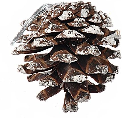 PretyZoom Nativity Decor Tree de Natal decorativa Pinecone natural Pine Nut Decoração de Natal - 9 PCs/Set Party Favor Rattan Decor