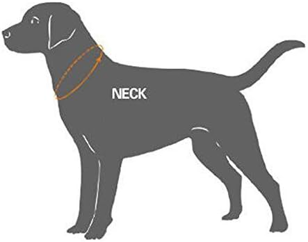 Zeey Durable Night Safety Collar Cola de cachorro acolchoado malha respirável com 3m listras refletidas noturnas, colar ajustável
