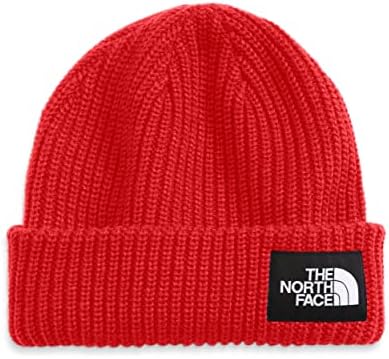 O gorro de cachorro salgado da face norte - juventude