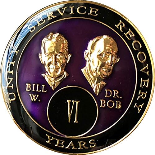 6 anos AA Medallion Purple Tri-Plates Fundadores Bill & Bob Chip VI