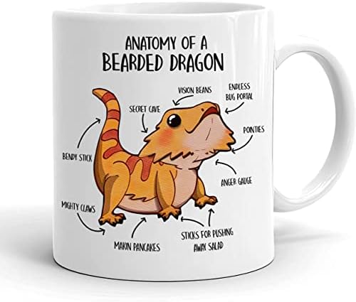 Caneca de café com dragão barbudo - Presente de réptil fofo - Anatomia de um dragão barbudo - amante de dragão barbudo