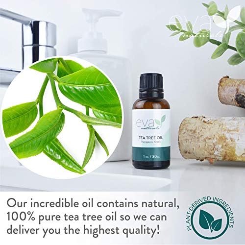 Eva Naturals Pure Tea Tree Oil - Melaleuca Essential Oil Acne, facilita machucados da caspa e projetos de bricolage