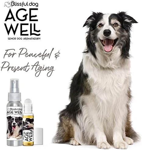O cão feliz Border Collie Age Spray Spray Aromaterapy