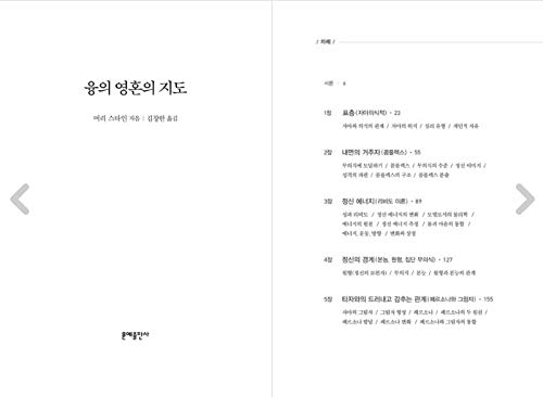 [Livro coreano 한국어책] 융 의 영혼 의 지도 Mapa de Jung do Livro de motivos de 'Persona' da Soul/BTS 'Estudando no romance
