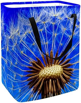 Nature Dandelion Plant Print Print Collapsible Laundry Turmper, 60L de lavanderia à prova d'água Lavagem de roupas