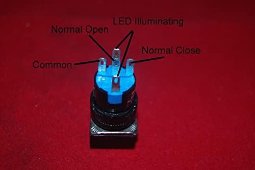 2pcs 16 mm Blue Push Momentary Push Illumined 12V AC/DC 5 pinos
