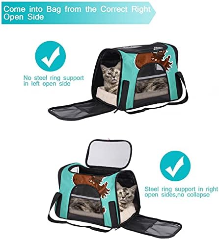 Portador de animais de estimação Unicorn Unicorn Soff-lateral Pet Travel para gatos, cães cachorros conforto portátil portátil