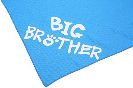 Pickupik Big Brother Big Sister Dog Bandana 2 pacote