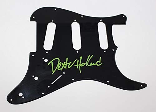 Os filhos americanos Americana Pretty Fly Dexter Holland Authentic assinado assinado Fender Strat Electric Guitar Pickguard