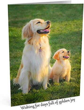 Os cães de Trog Golden Retriever Cartões: Golden Joy II