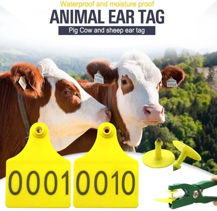 Gaotek UHF TPU RFID Tag | Rastreamento de animais de gado Gen 2 Classe 1 Faixa de frequência 902MHz - 928MHz | Leia