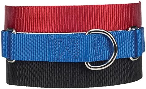 Guardian Gear Nylon Martingale Dog Collar, se encaixa no pescoço 10 a 16, preto