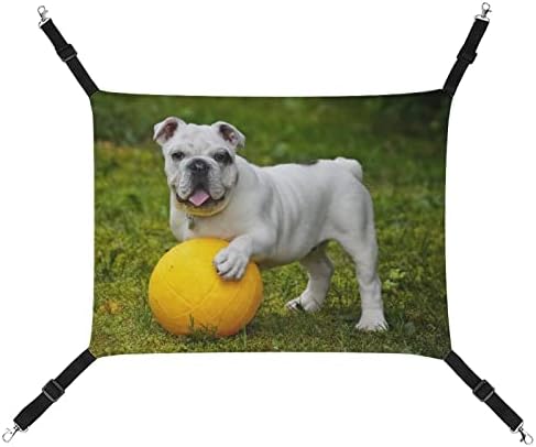 CAT HAMMOCK DOG E BALL CACA CAGA CAGA PERDELA PEDIDO ESPAÇO SUPLEMENTO PARA PETROS PETOS DE PETROS 16.9 X13