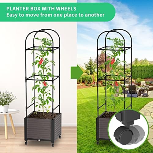 Caixa de plantador de cama de jardim levantada com rodas, plantador de tomate Cedro de jardim levantado com treliça para escalar vegeta