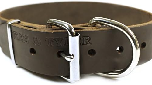 Dean e Tyler B e B, colar de cachorro básico de couro com forte hardware de níquel-marrom-tamanho 36 polegadas por 2 polegadas-se