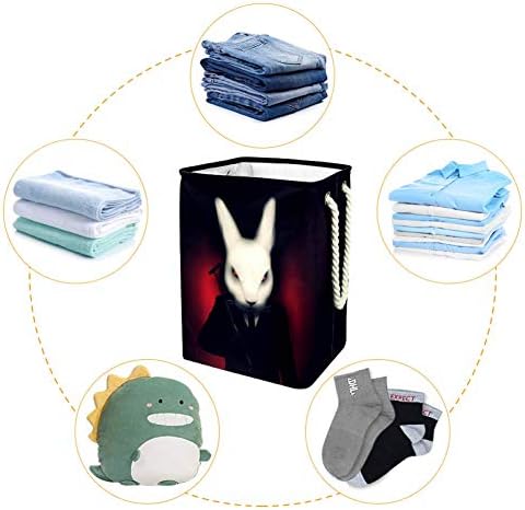 Unicey Rabbit Bunny Laundry Horting Casket Cosce