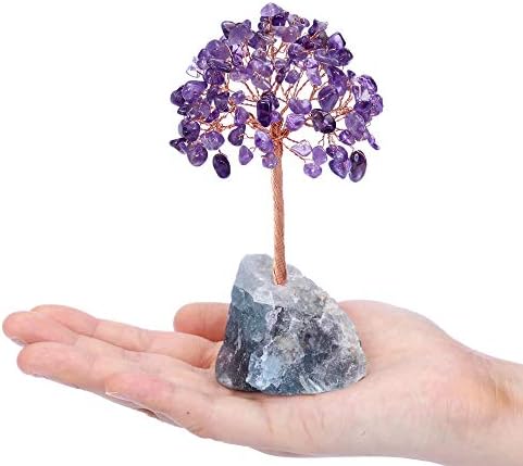 Pacote Jovivi - 2 itens Cristais de cura de ametista Fluorite Base Bonsai Money Tree + Bulk Natural Raw Purple Ametista