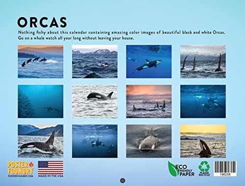 Calendário orca 2023 calendários de parede mensal de parede